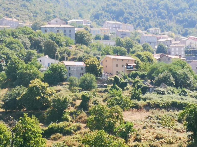 Maison de village avec jardin privatif - Chambres d'hôtes Zicavo