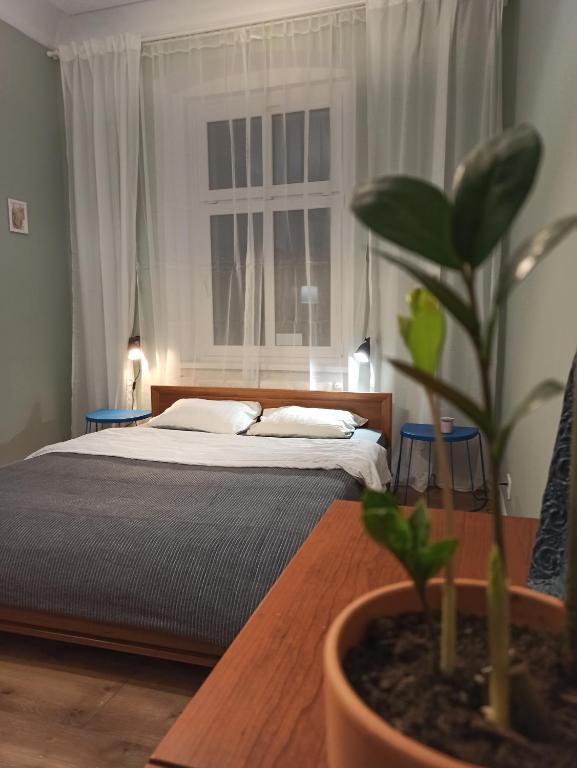 Apartament ROZETA centrum 6os - Bed and Breakfast Legnica