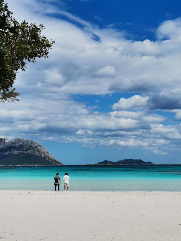 Vacanze da sogno a pochi km. da Olbia - Chambres d'hôtes Porto Istana