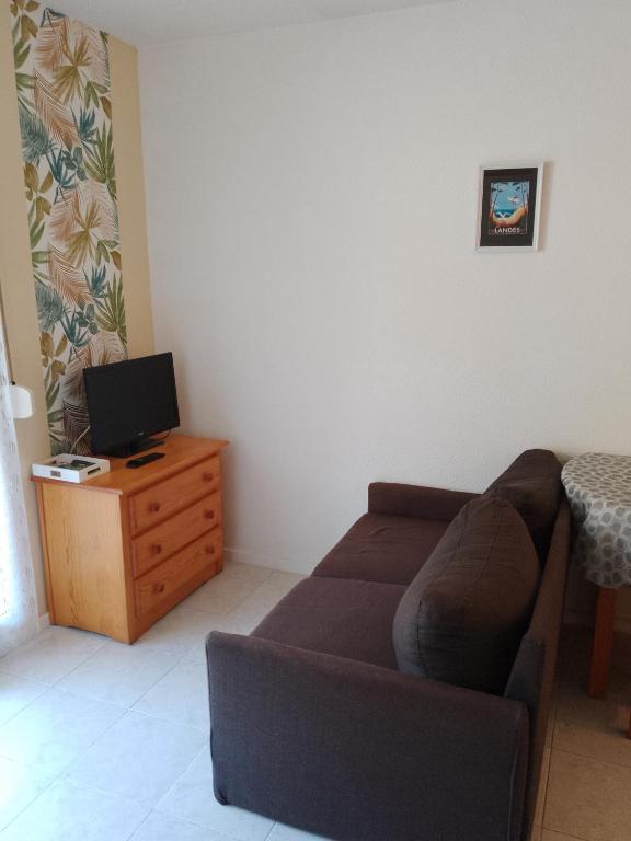 Studio pour cure Eugénie les Bains - B&B Eugénie-les-Bains