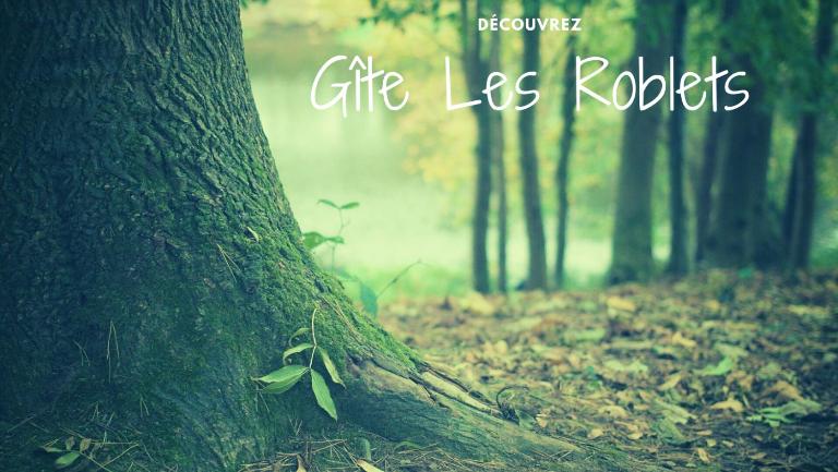Gîte « les roblets » - Bed and Breakfast Bougey