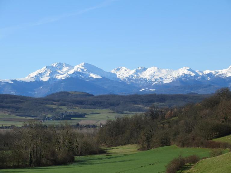Domaine Le Cazal - Chambres d'hôtes Manses