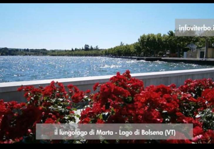 Civico 10 - Appartamento sul Lago - B&B Marta