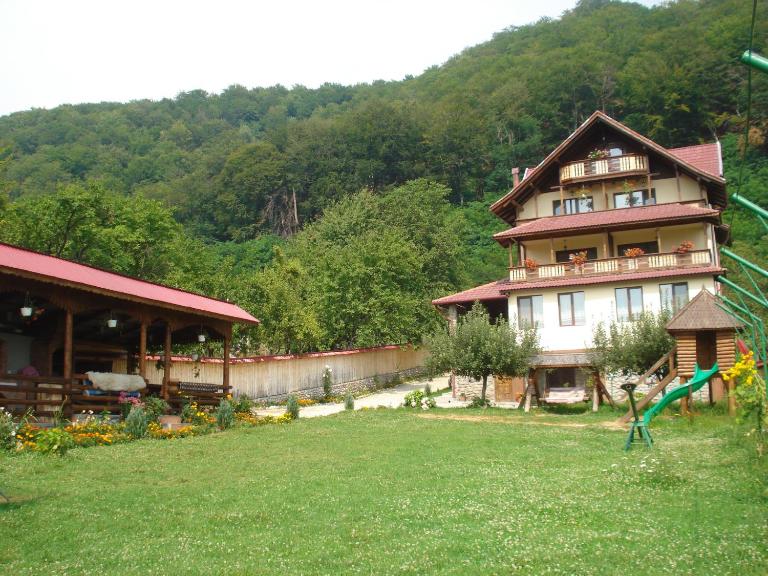 Casa din Salcami - B&B Polovragi