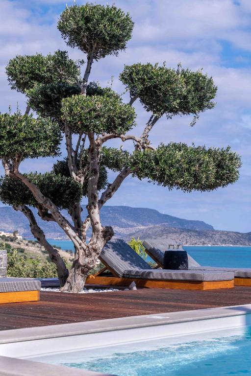 The Olive Tree Villa Elounda - Bed and Breakfast Eloúnda