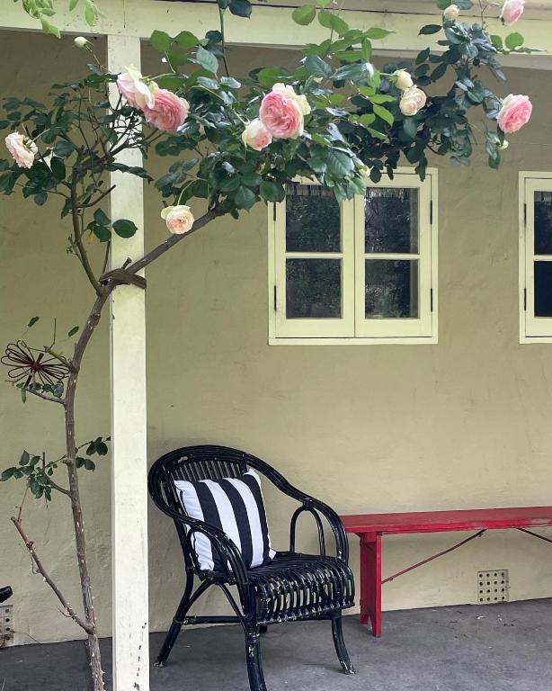 Fleetwood Cottage Bed and Breakfast - B&B Mylor