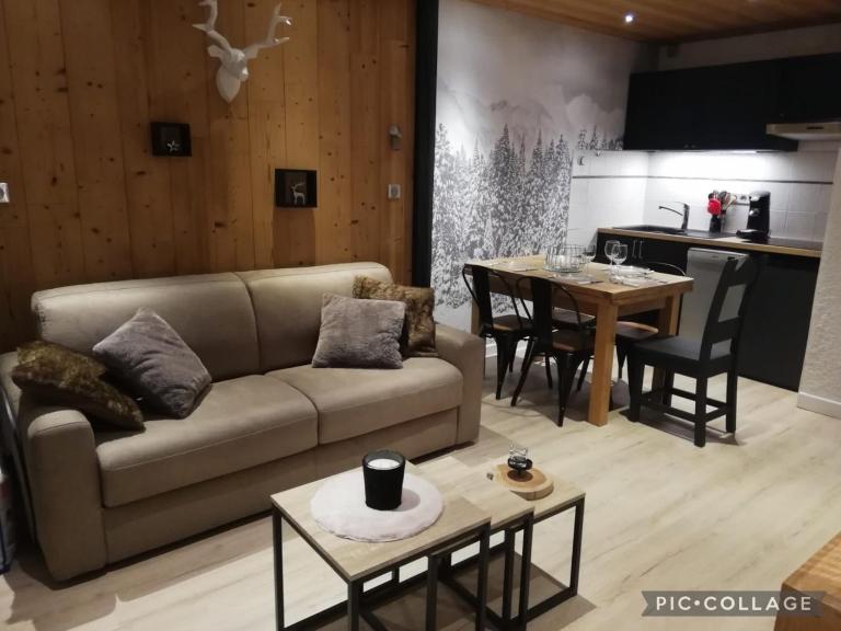 Les Deux Alpes, Le Lauvitel, appartement cosy, pied des pistes, 2 adultes 2 enfants - B&B Les Deux Alpes