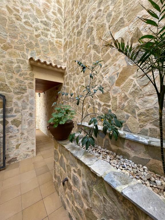 Hostal CAN GALLU - Ferienwohnung Cala Rajada
