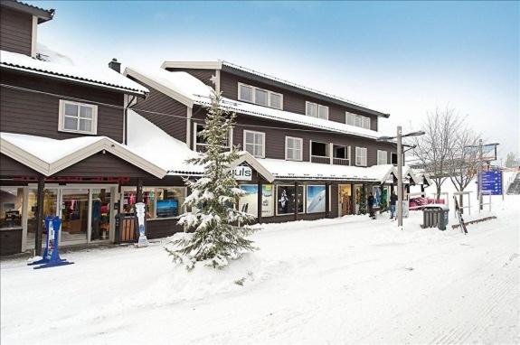 Skitorget Apartments - B&B Innbygda