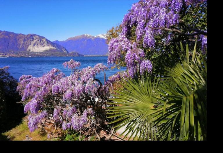 La Corte di Suna - B&B Verbania
