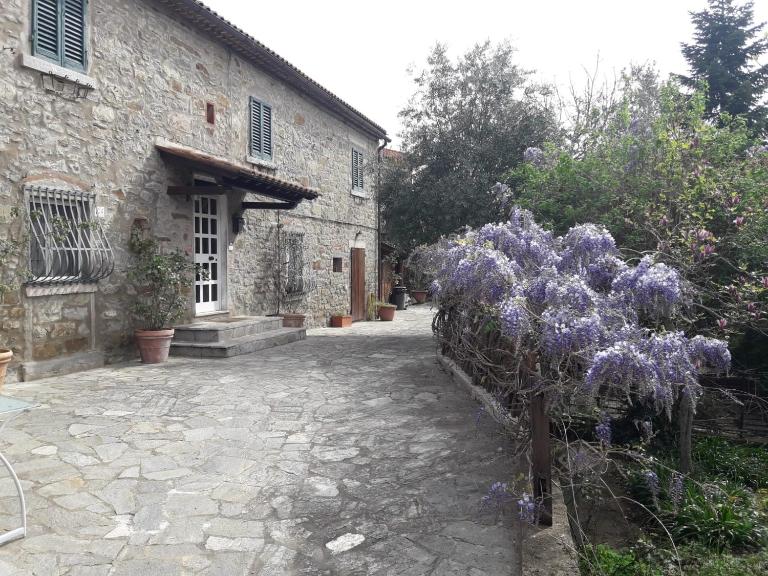 Il Fico di Cortona - B&B Cortona