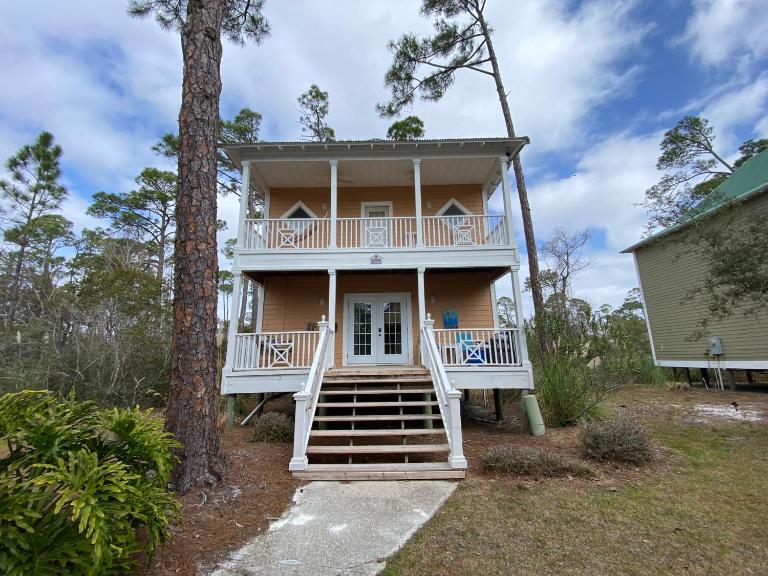 Purple Parrot 9C By Pkrm - B&B Pensacola