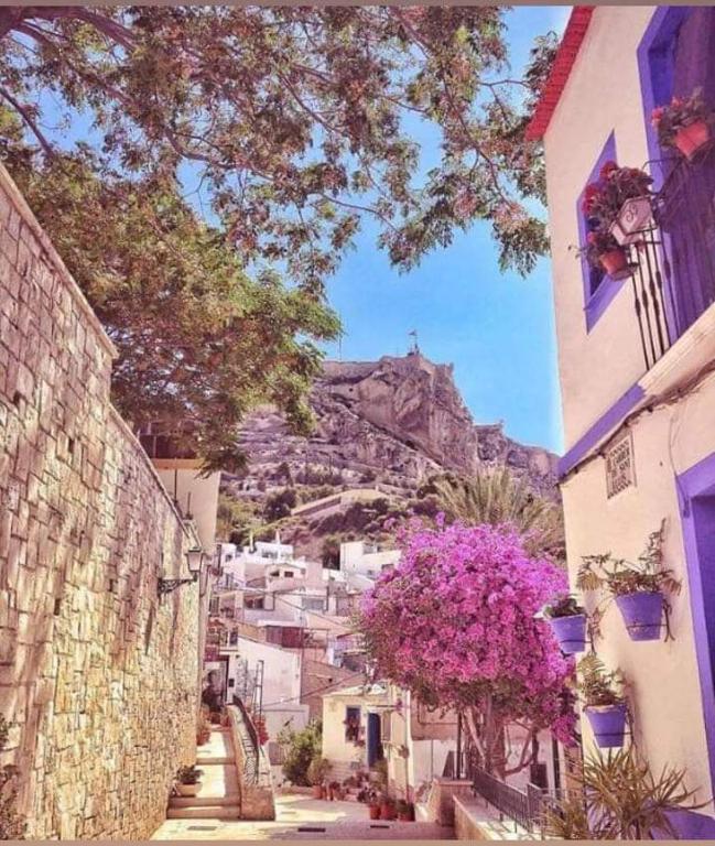 La casita azul - Bed and Breakfast Alicante