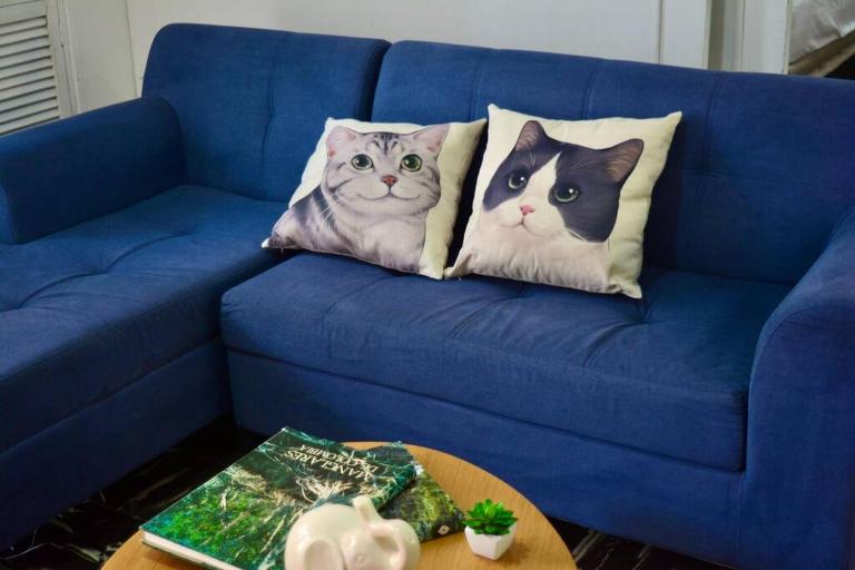 Casa del Gato - B&B Cartagena de Indias