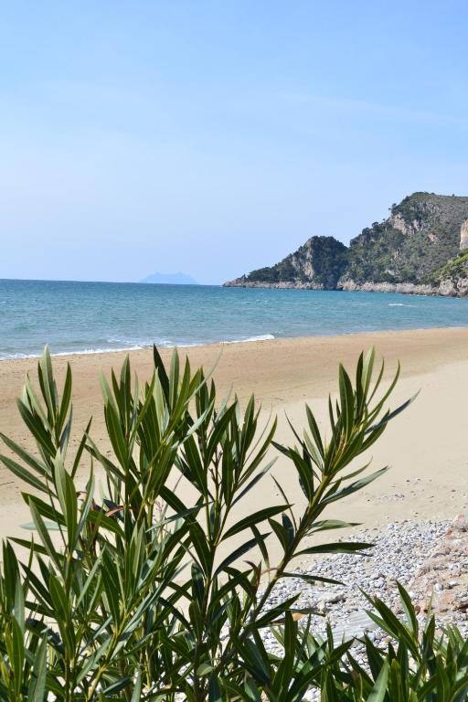 SUMMER HOUSE AL MARE - B&B Gaeta