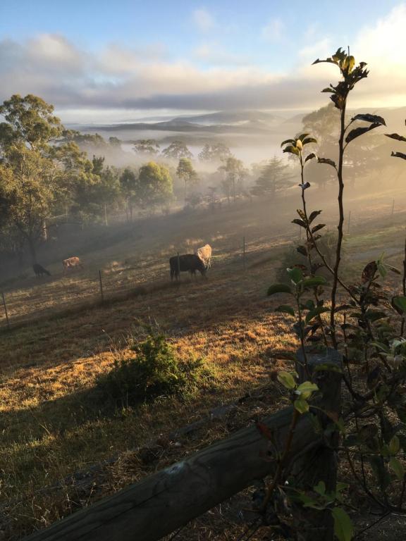 Springmead B&B - Bed and Breakfast Rydal
