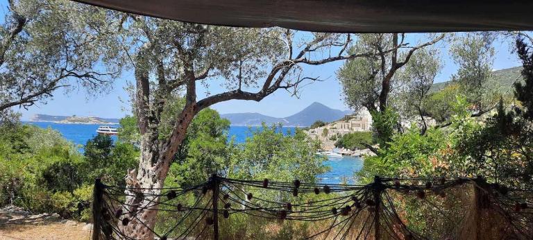 Apartmani Roganovic - B&B Luštica
