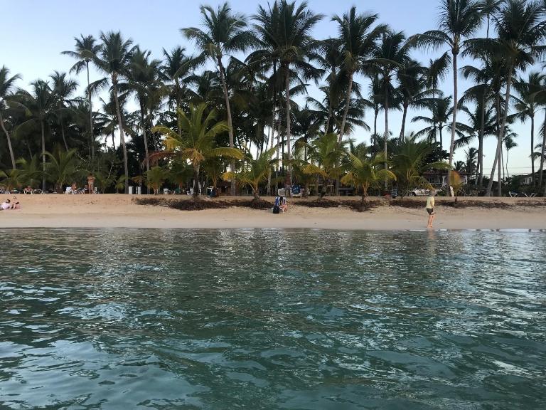 La Cortesana Cozy Apt Steps to the Beach - Bed and Breakfast Las Terrenas