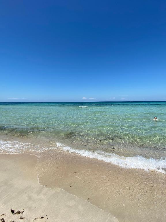 La Fenice sulla spiaggia - Bed and Breakfast Gallipoli
