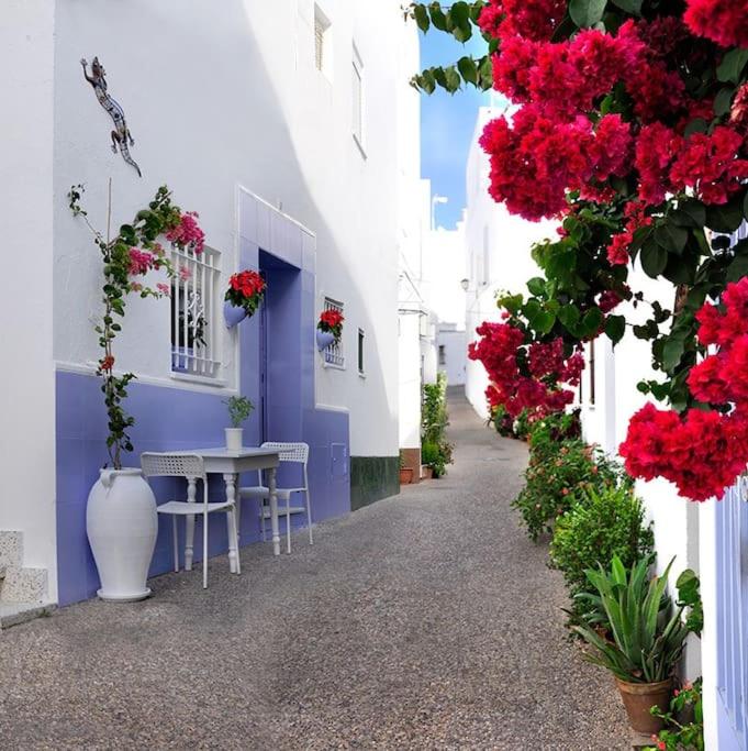 CORAZÓN DE CONIL - B&B Conil de la Frontera