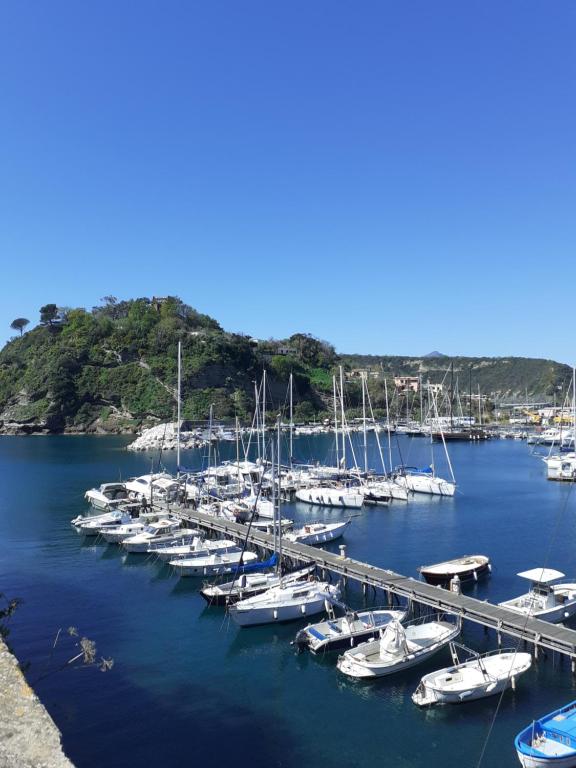 LES PETITES MAISONS maison orange - B&B Procida