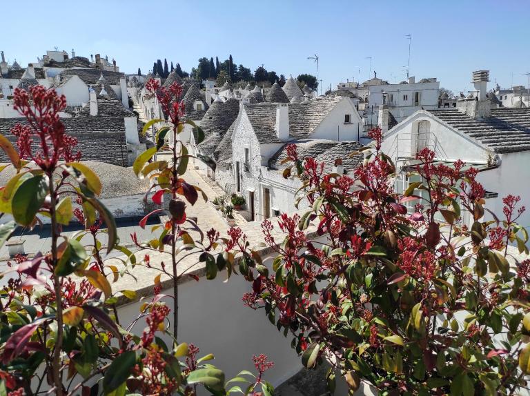 Noù la tua casa in Puglia - B&B Alberobello