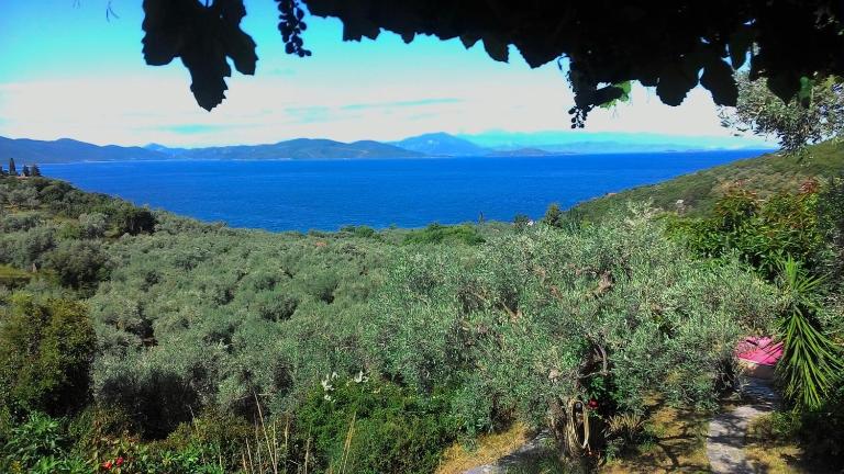 Studio south Pilion - Bed and Breakfast Chórto