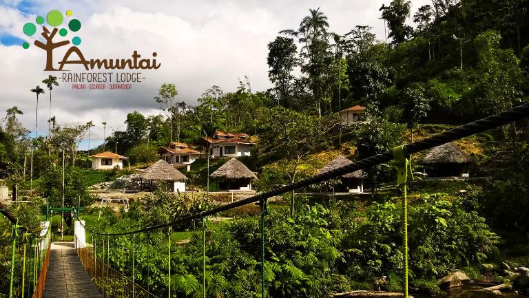 AMUNTAI RAINFOREST LODGE - B&B Palora