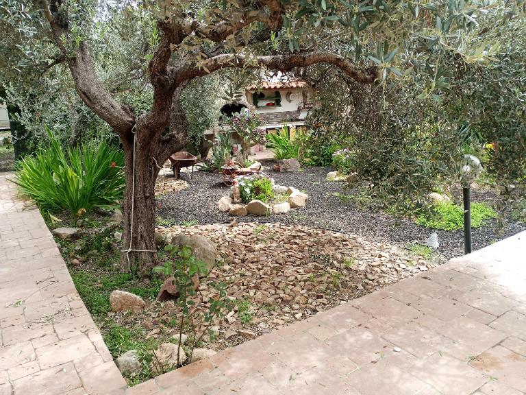 Casa vacanze l'ulivo - B&B Maracalagonis