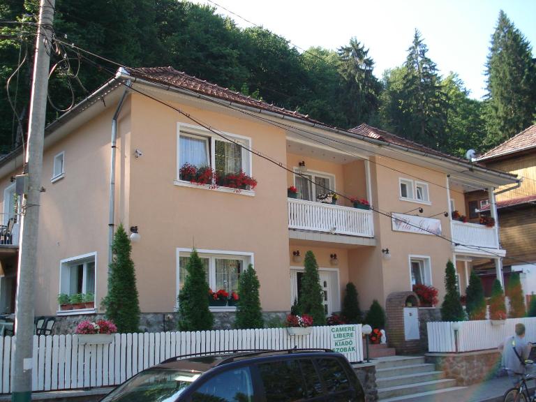 Vila Intim - Chambres d'hôtes Sovata