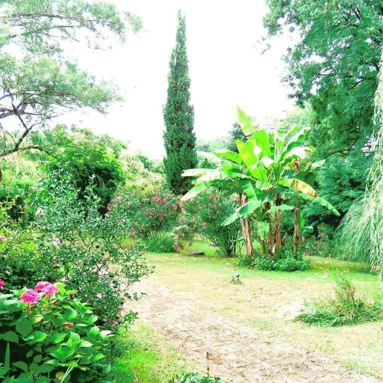 Gite Matilon, 5 min Eugénie les Bains - B&B Buanes