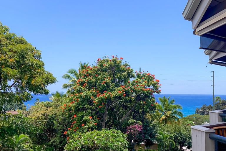 A Little Aloha - B&B Kailua-Kona