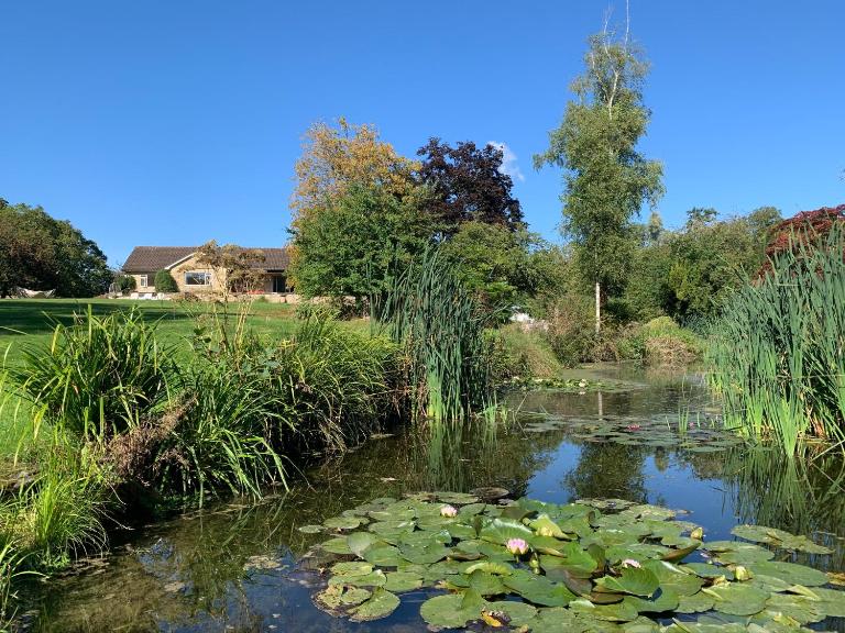 The Quackery - B&B Langport