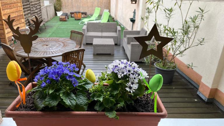 Gite Edelweiss à Eguisheim - B&B Eguisheim