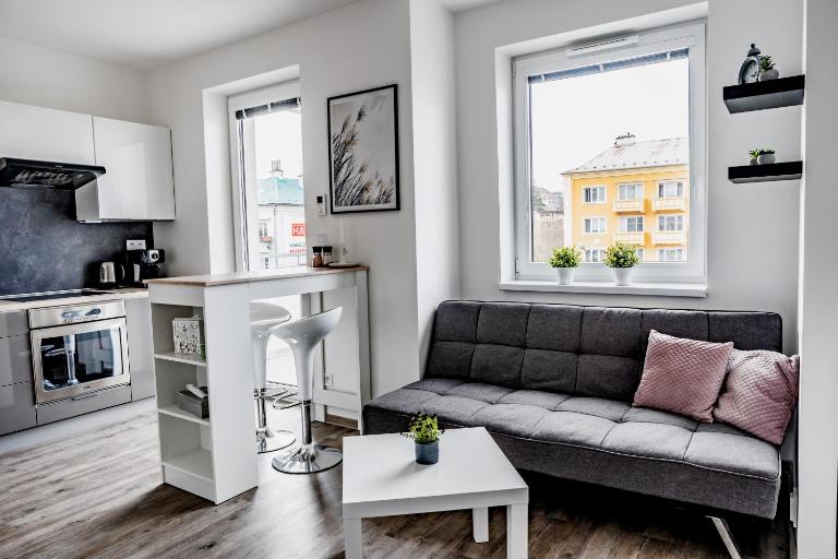 Wolkerovka Apartment 1 - Bed and Breakfast Olomouc