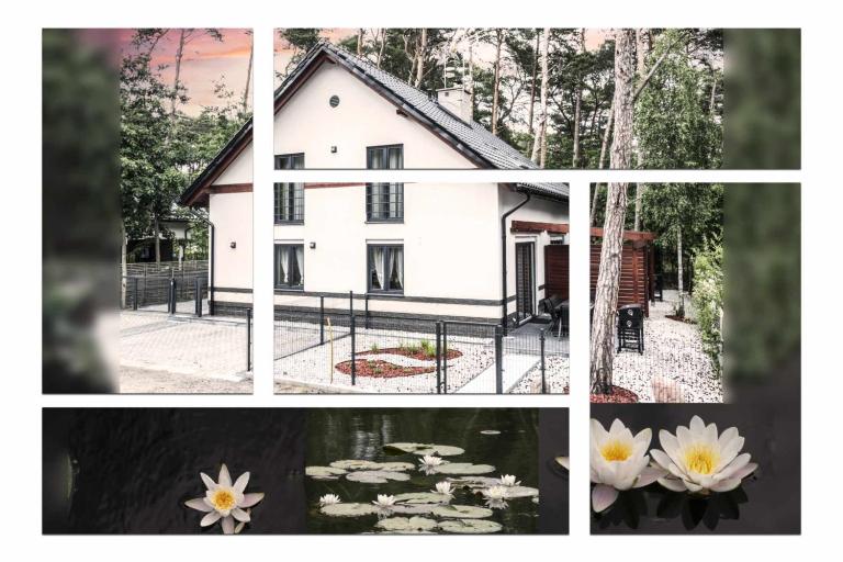 Lily - Sunny Flowers Apartments - B&B Łukęcin