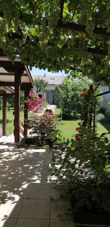 Ferienwohnung Maks und Kris - B&B Sankt Andrä am Zicksee