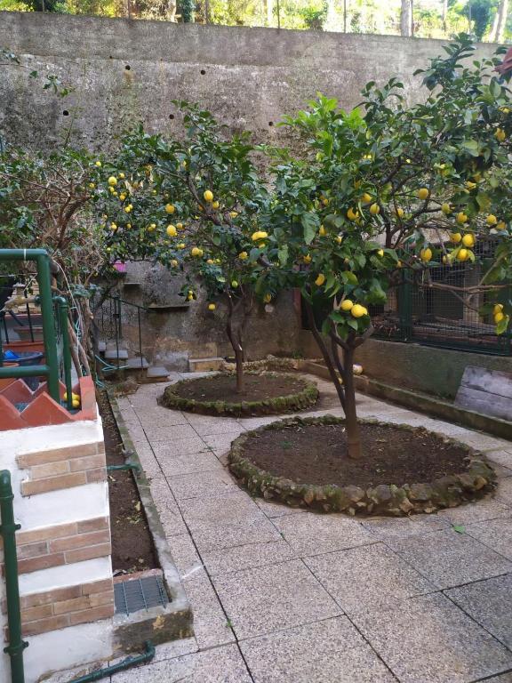 oparavisegenova - B&B Genova