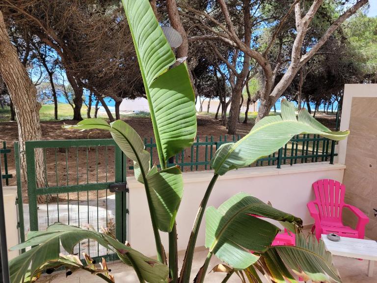 FRONTE PINETA MARE RIVABELLA - B&B Rivabella