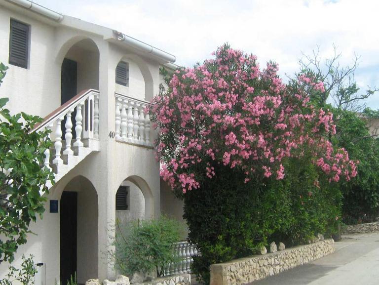 Apartments MINT Povljana - 50m from sandy beach - B&B Povljana