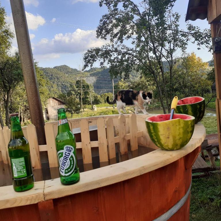 RETREAT MOUNTAIN CĂSUȚA TRADIȚIONALĂ,Roşia Montana - B&B Roșia Montană