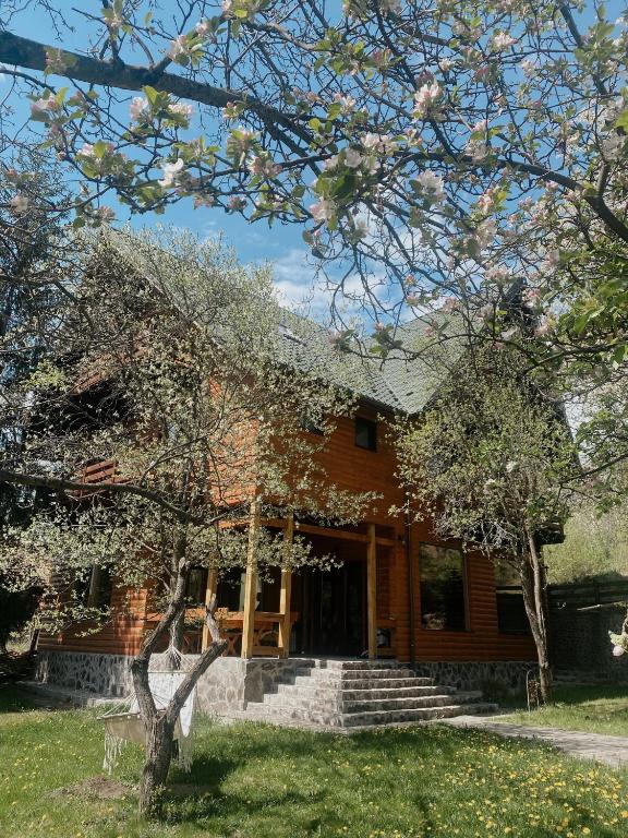 Cabana Bistra - B&B Bistra Mureșului