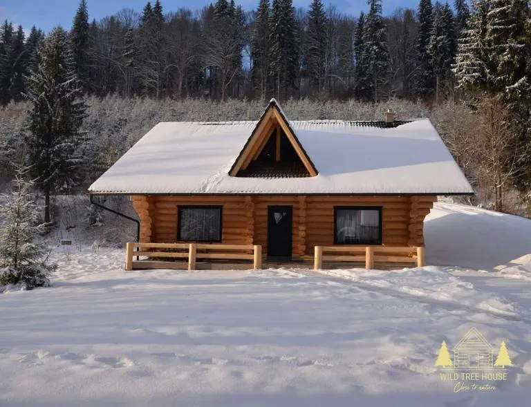 Wild tree house - B&B Vărşag