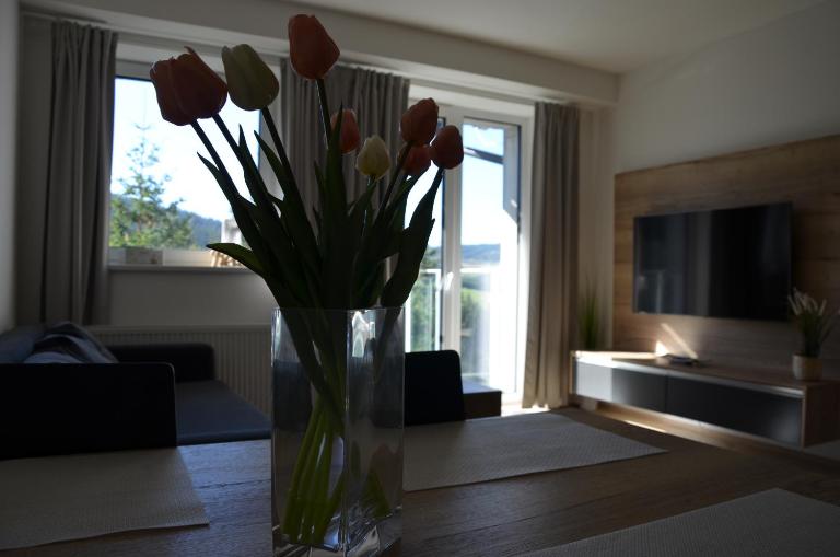 Visit sauna Klinovec - Ferienwohnung Loucna pod Klinovcem