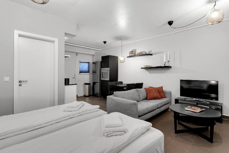 G5 - Studio Apartment - City Center - B&B Reykjavik