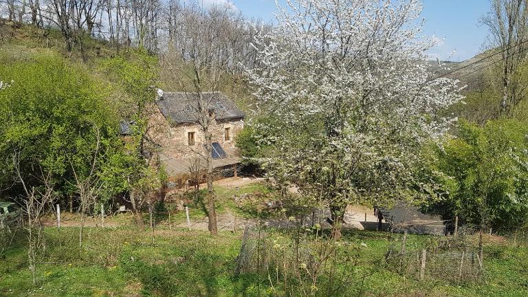 maison isolée dans les vignes et les bois - B&B Valady