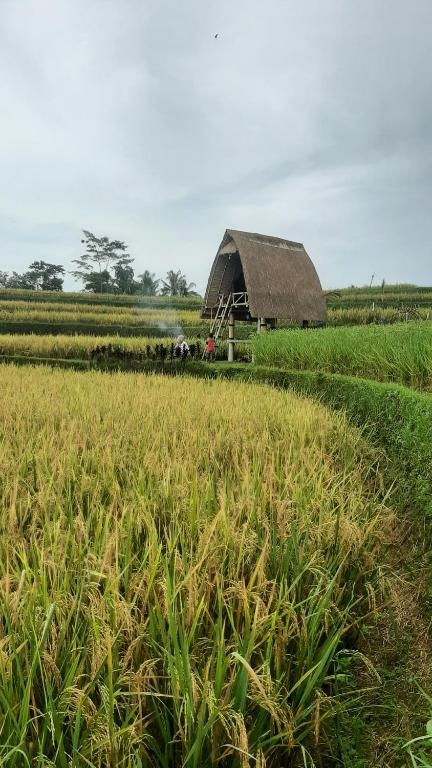 Swaha Retreat & Eco Park Ubud - B&B Gianyar