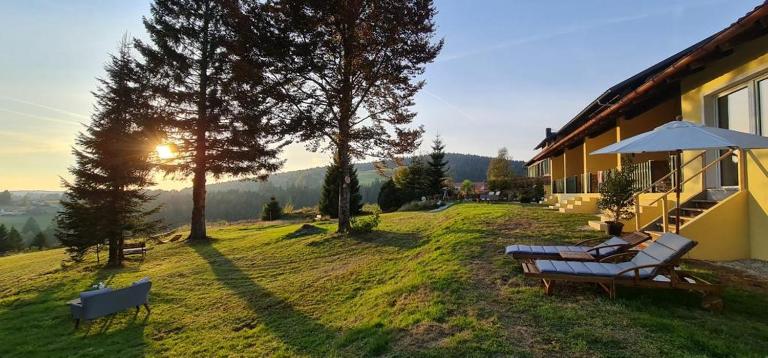 Dreisessel Motel - Ferienwohnung Haidmühle