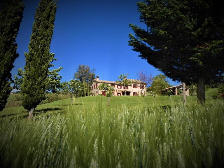 Quelli del Picchio - Chambres d'hôtes Cupramontana