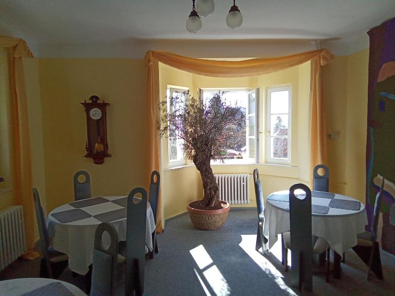 Pension Baron Schoeneck - B&B Karlovy Vary